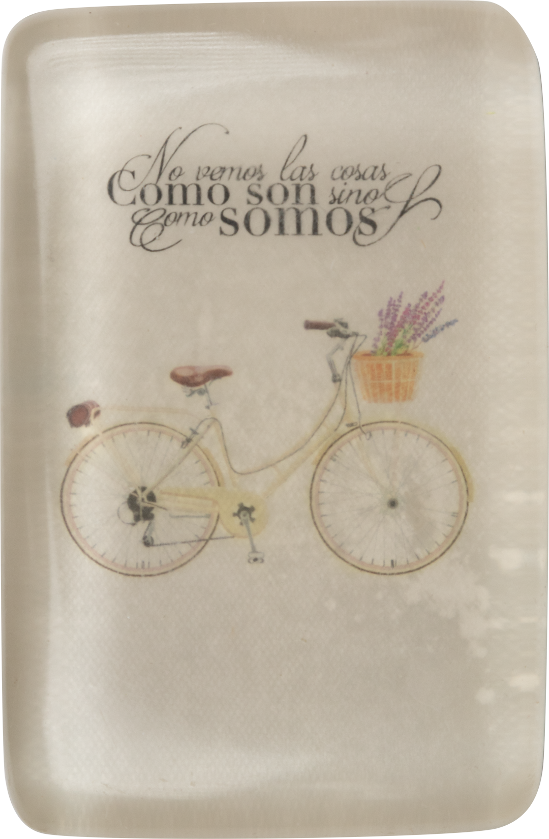 Pisa Papel Bicicleta | Scribanus
