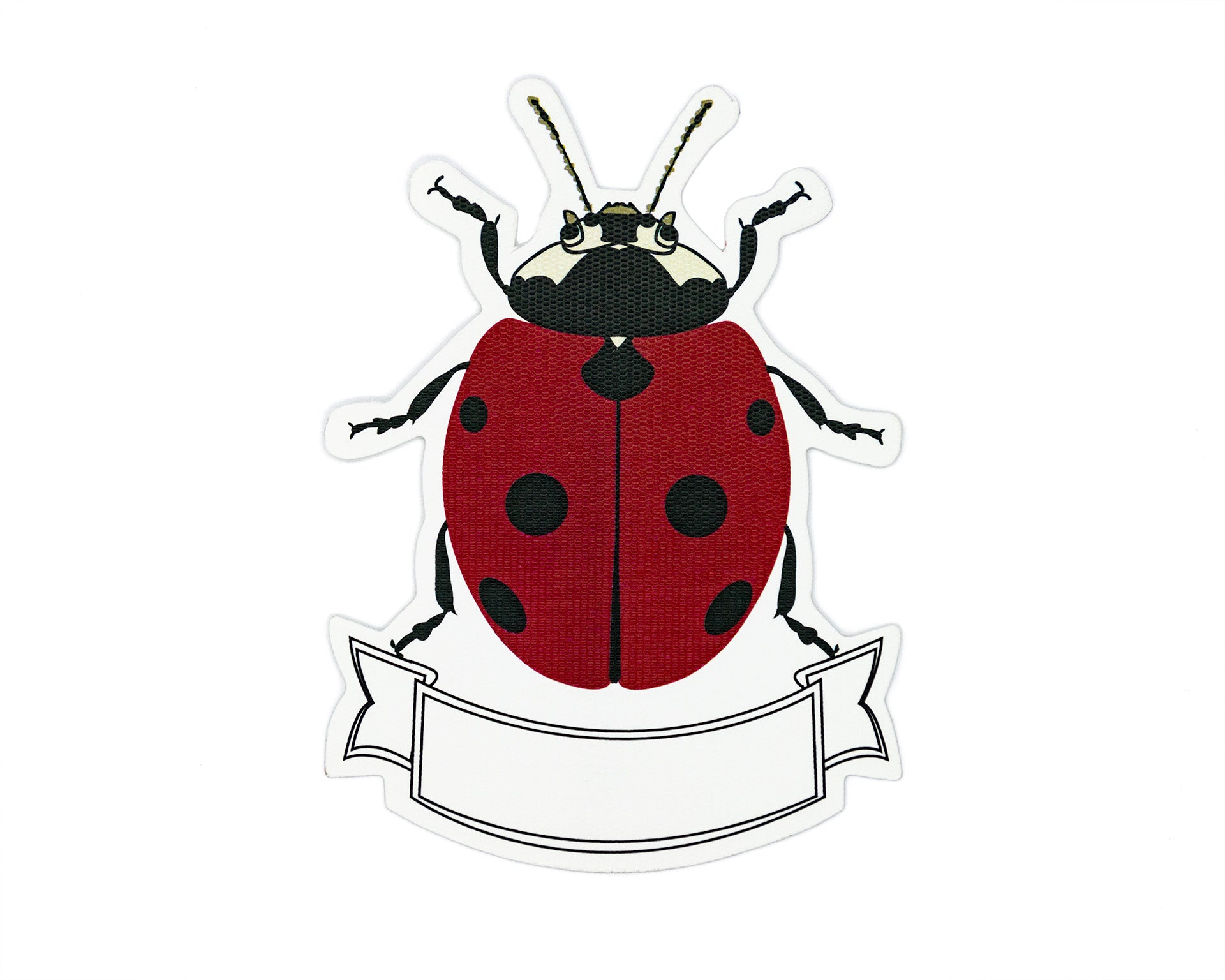 Place Cards Catarina | M: Place Cards | Scribanus