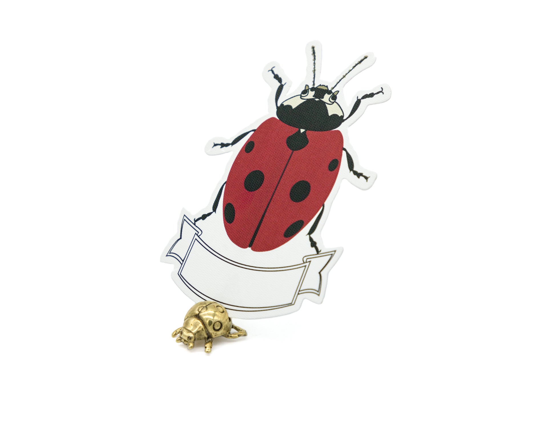 Place Cards Catarina | M: Place Cards | Scribanus