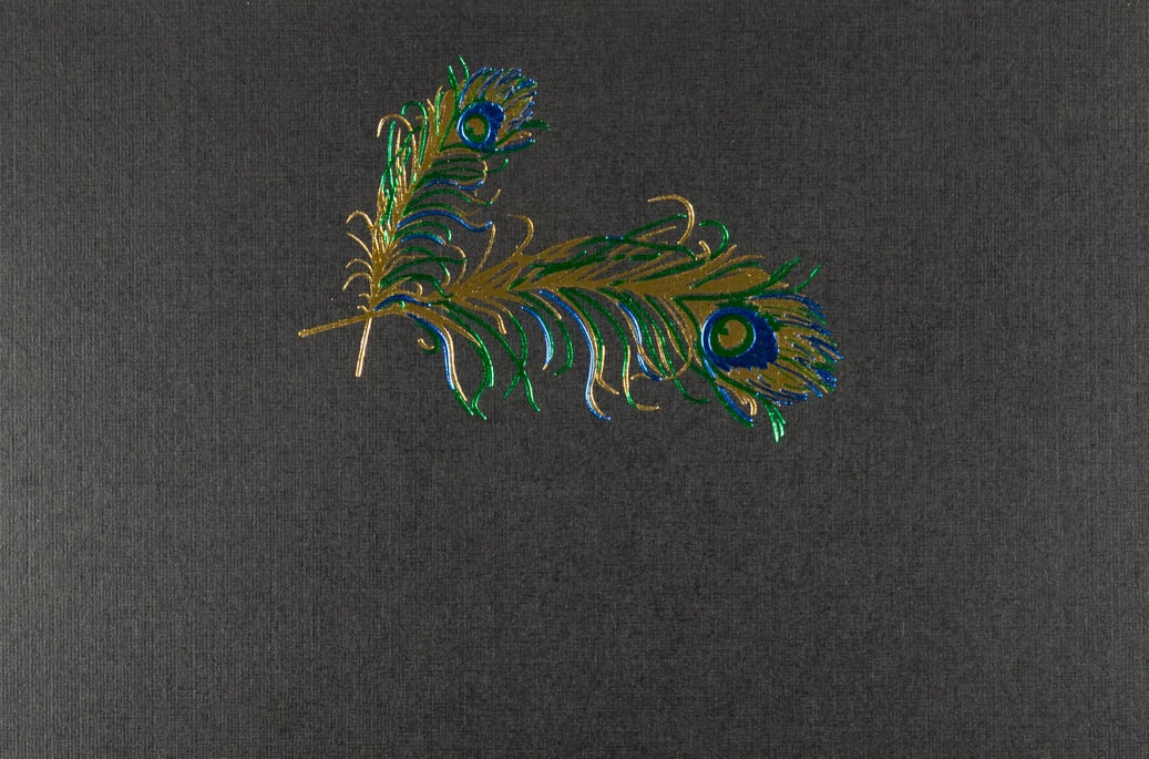 "Producto Ready to wear/Listo para llevar -Tarjeta Mediana Doble (13 x 9 cm) Modelo PLUMAS PAVO REAL en grabado artistístico en alto relieve con pelicula de foil brillante. Todo elaborado artesanalmente a mano por nuestro equipo de grabadores profesionales. En papeles de alta calidad lisos o texturizados. Hecho a mano en México
Paquete con 10 piezas"