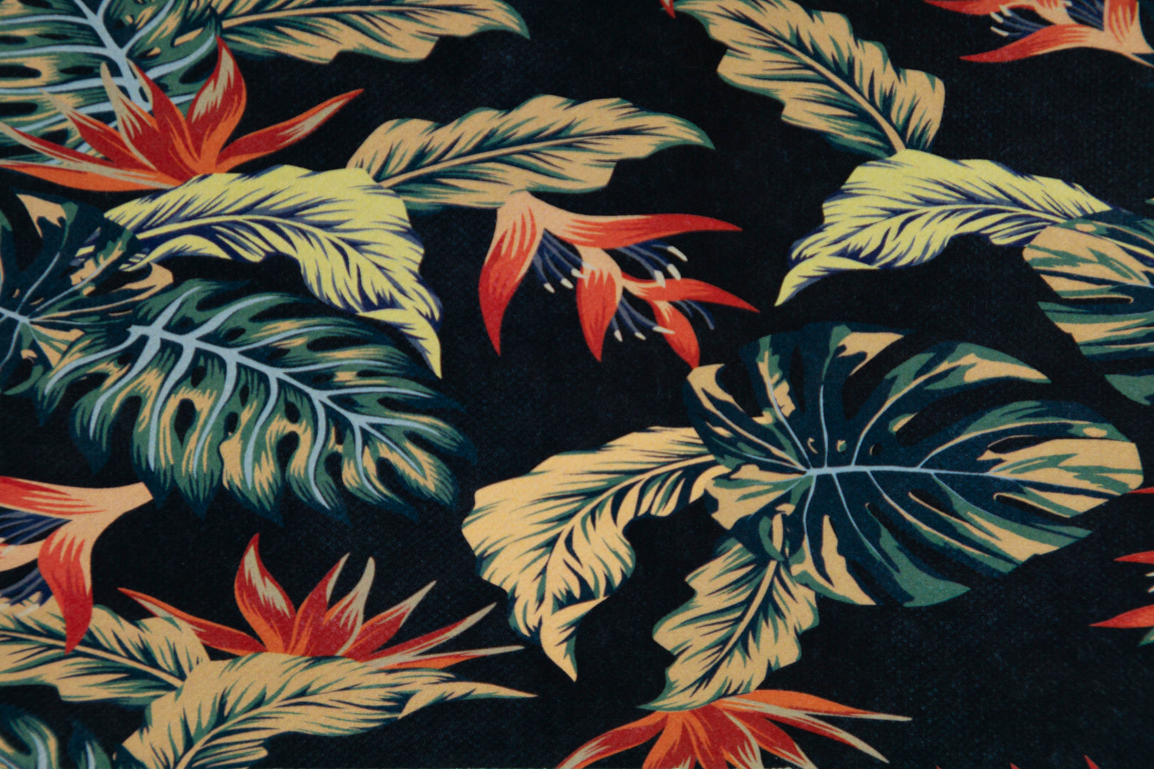 Caja Acrílico Hawaii