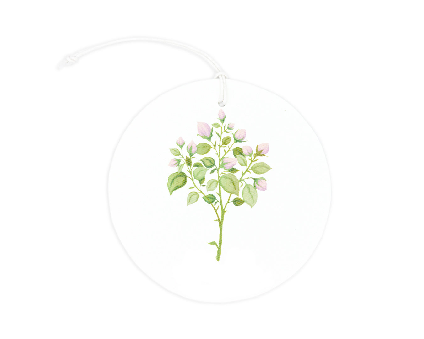 Medallones Botánicos