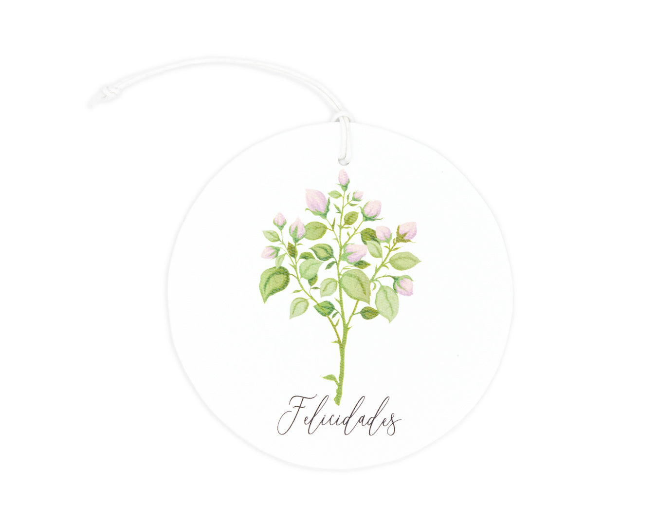 Caja Acrílico Medallones Botánico