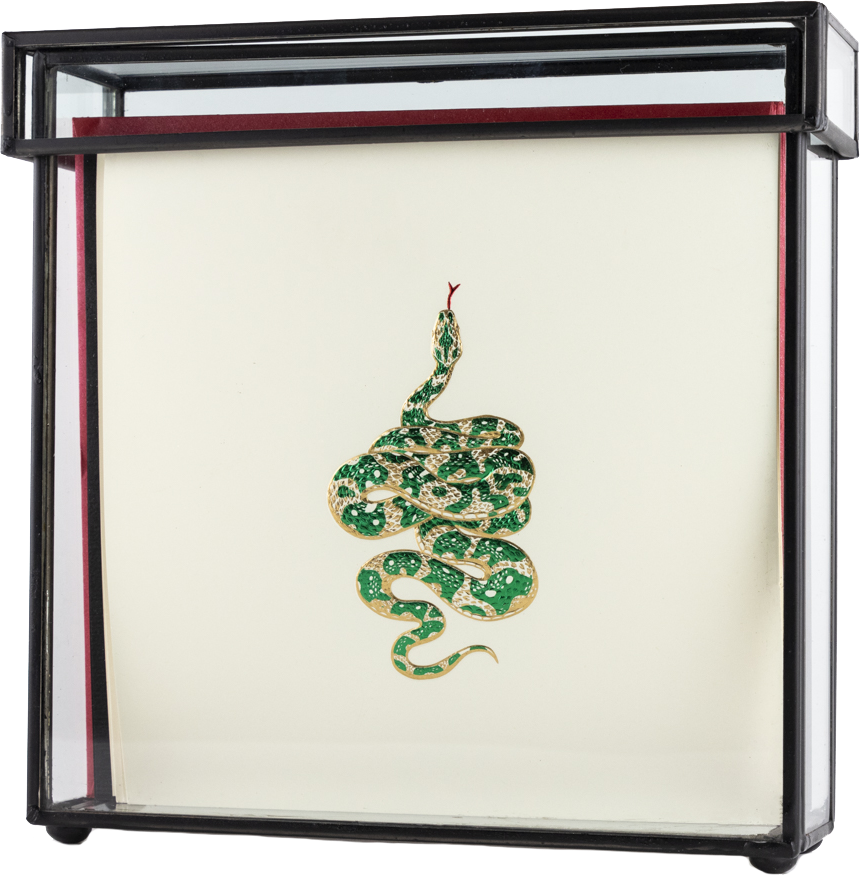Caja Vidrio Alta Serpiente Tarjetas y Sobres