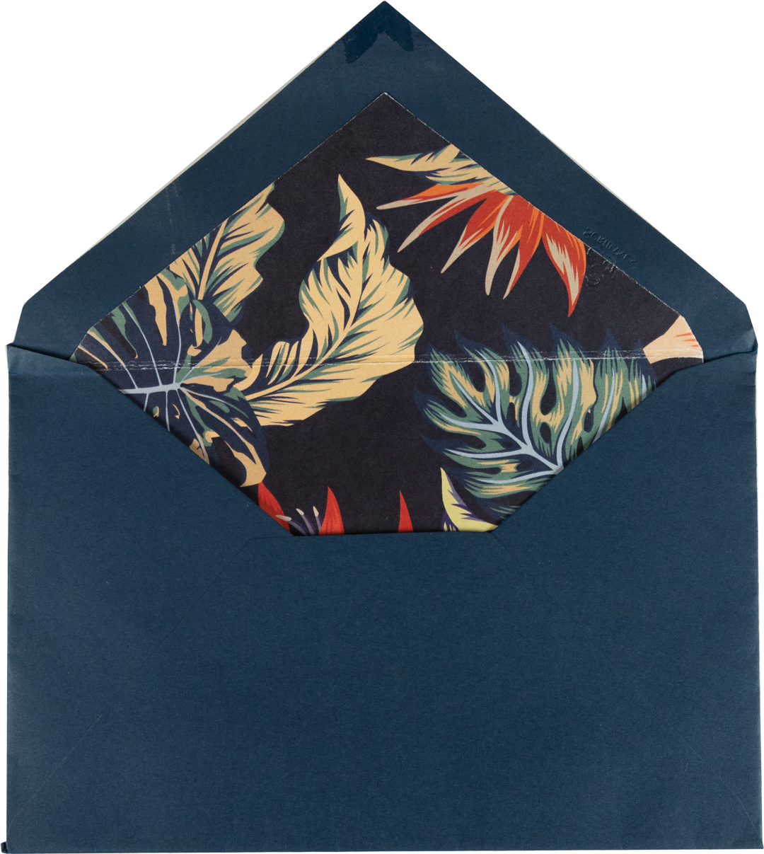 Caja Acrílico Hawaii