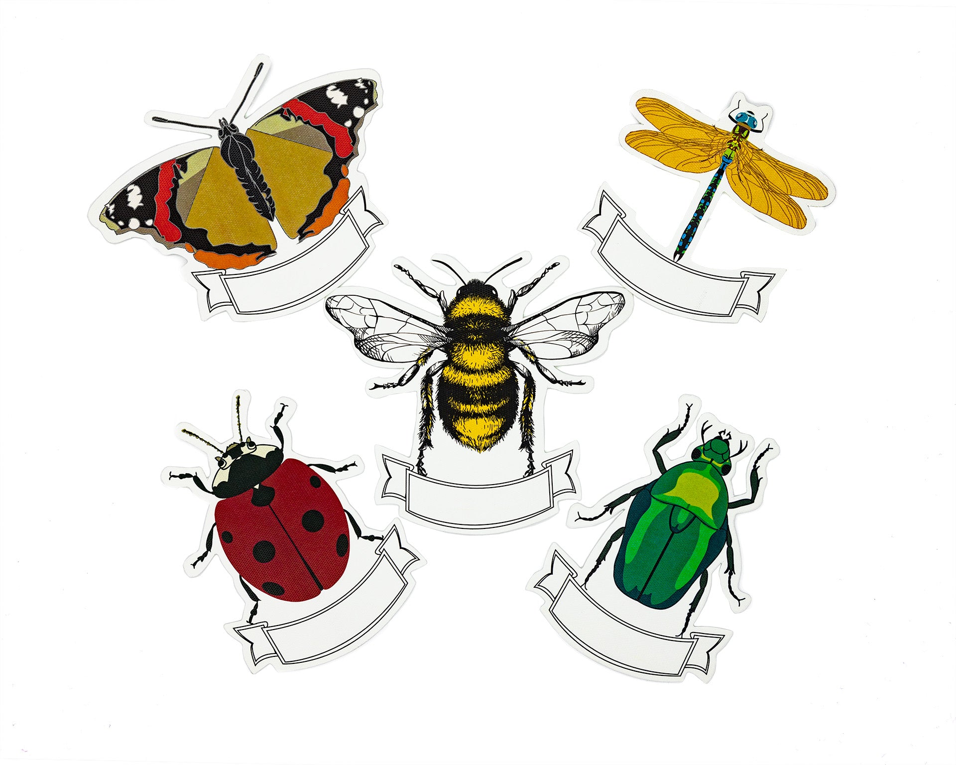 Place Cards Insectos Surtido