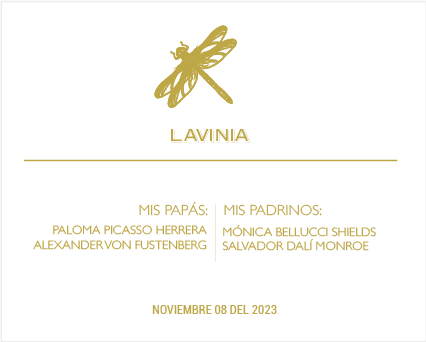 Bolo Dragonfly "Thank you" acrylic case