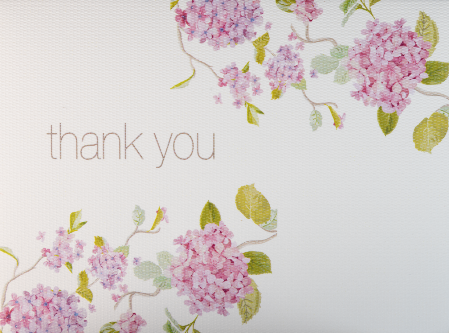 Tarjeta Hortensias "Thank you" Mediana | AGRADECIMIENTOS | Scribanus