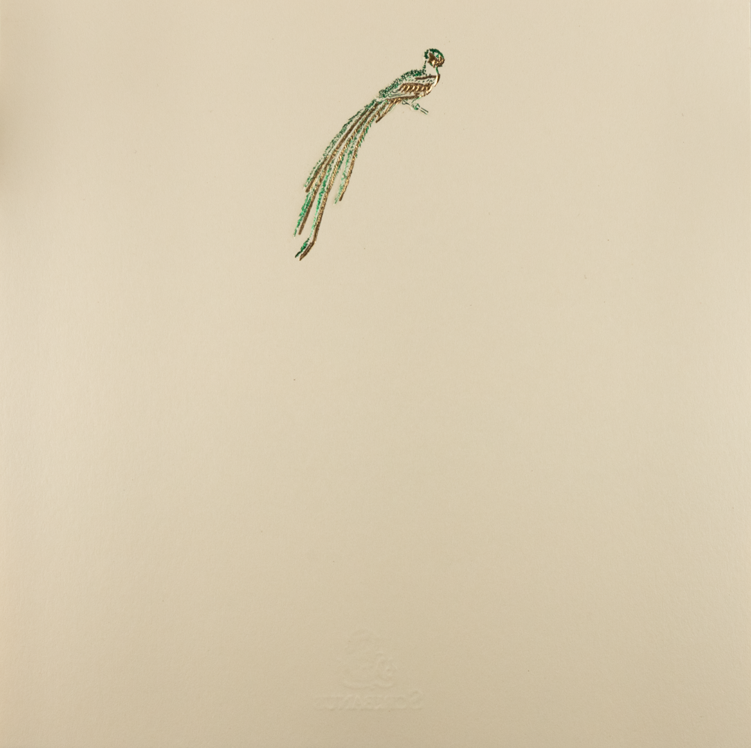 Tarjeta Quetzal Grande | NATURALEZA | Scribanus