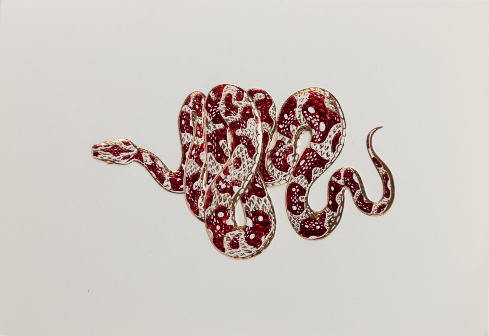 Tarjeta Serpiente Mediana Doble | NATURALEZA | Scribanus