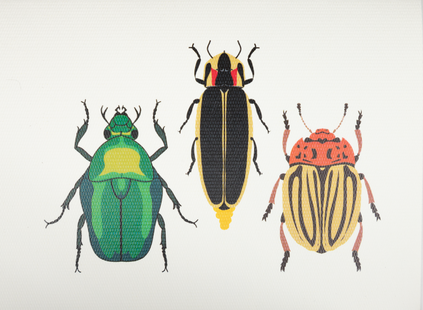 Caja Acrílico Tres bichos Print