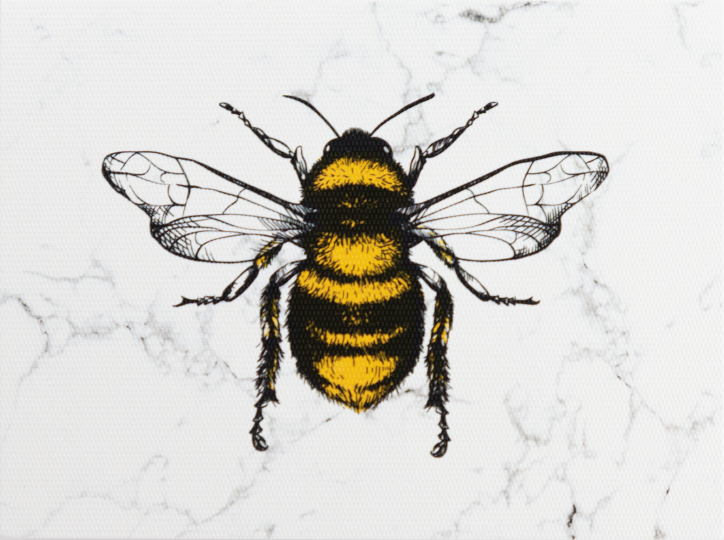 Medium Marble Bee Card