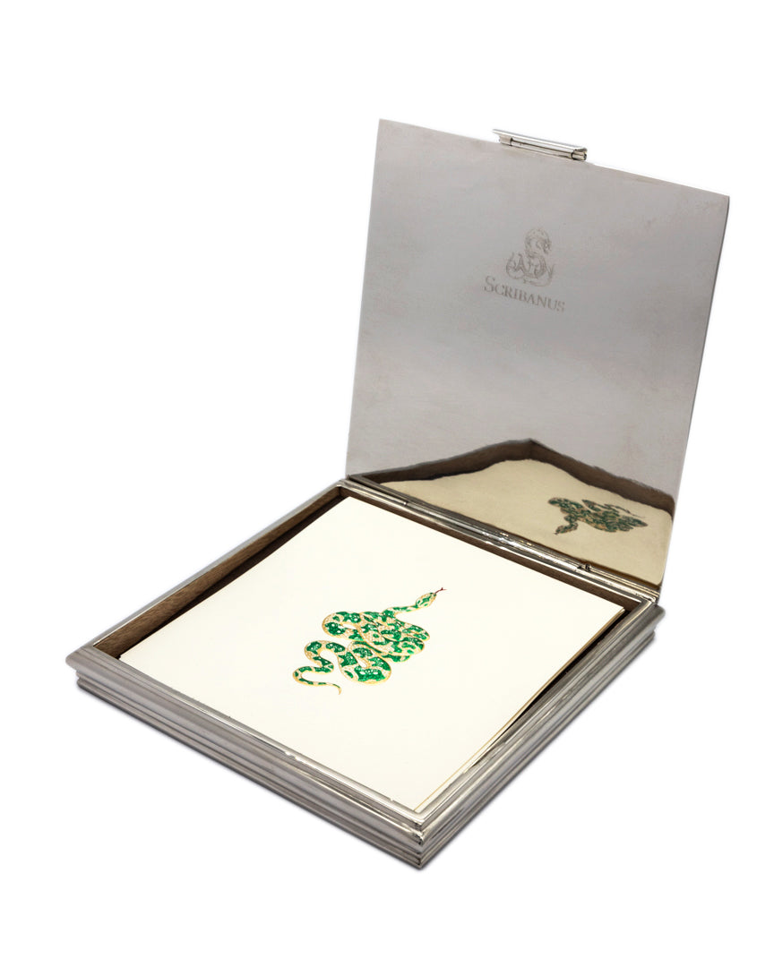 Caja Baño Plata Serpiente