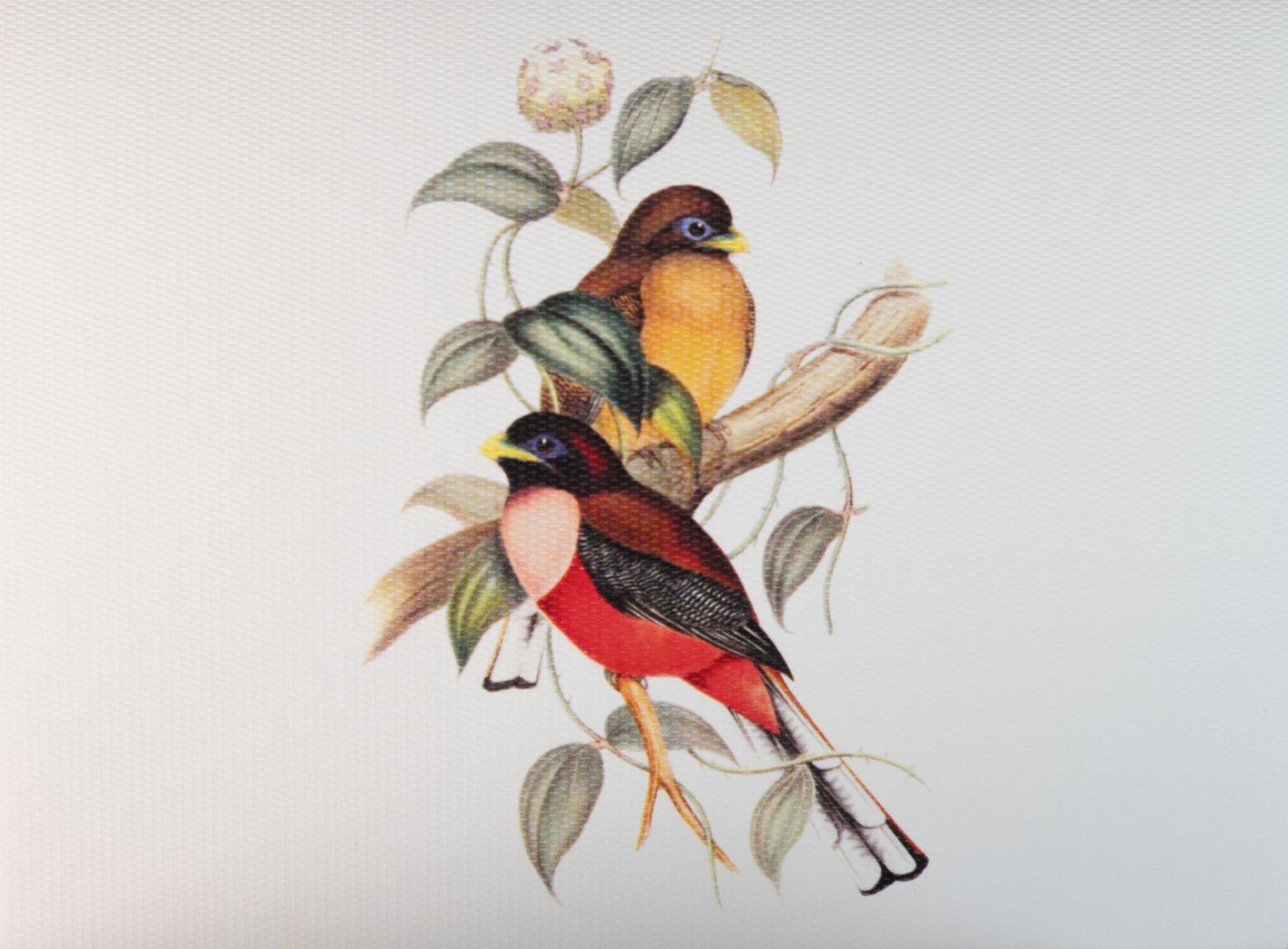 Caja Vidrio Tarjetas Toda Ocasión