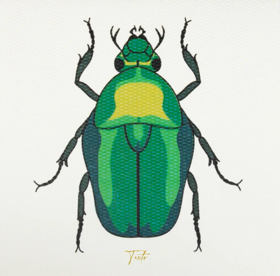 Tarjeta Escarabajo Print Mini Doble