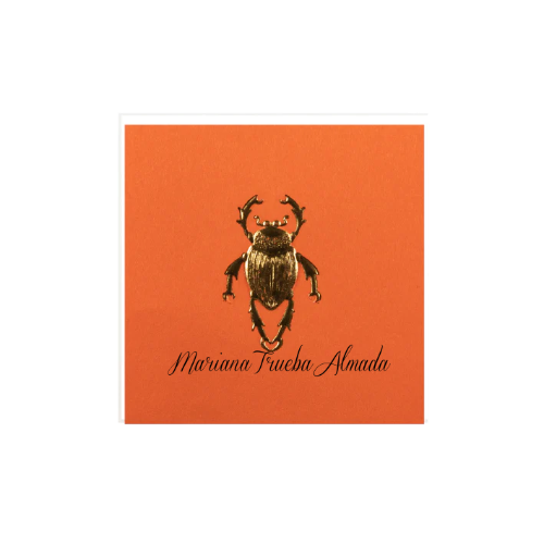 Naranja-Dorado / 6 x 6 cm / 30 piezas