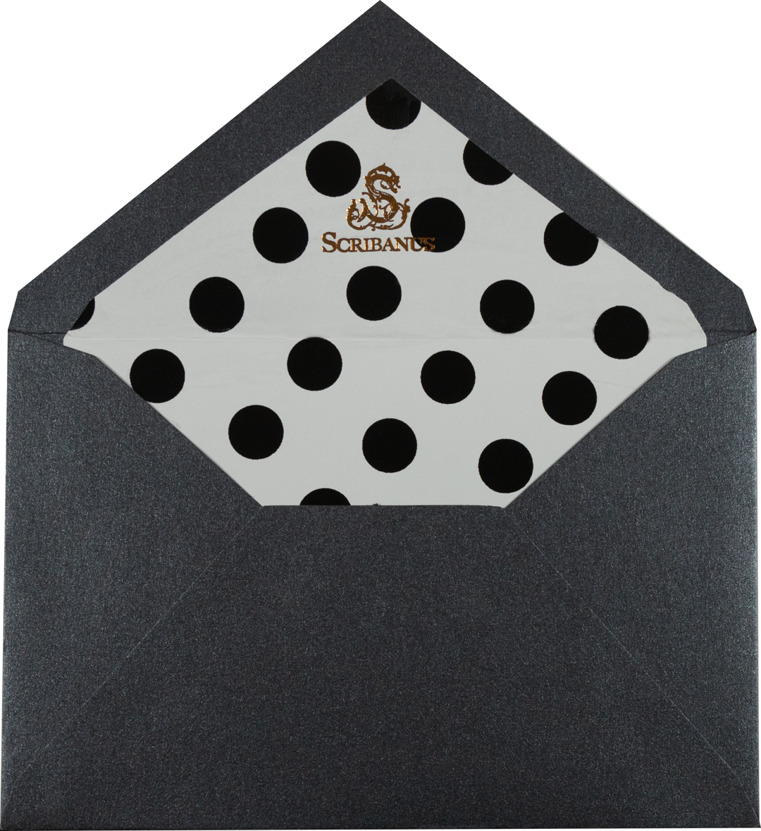 Medium Polka Dots Lined Envelope