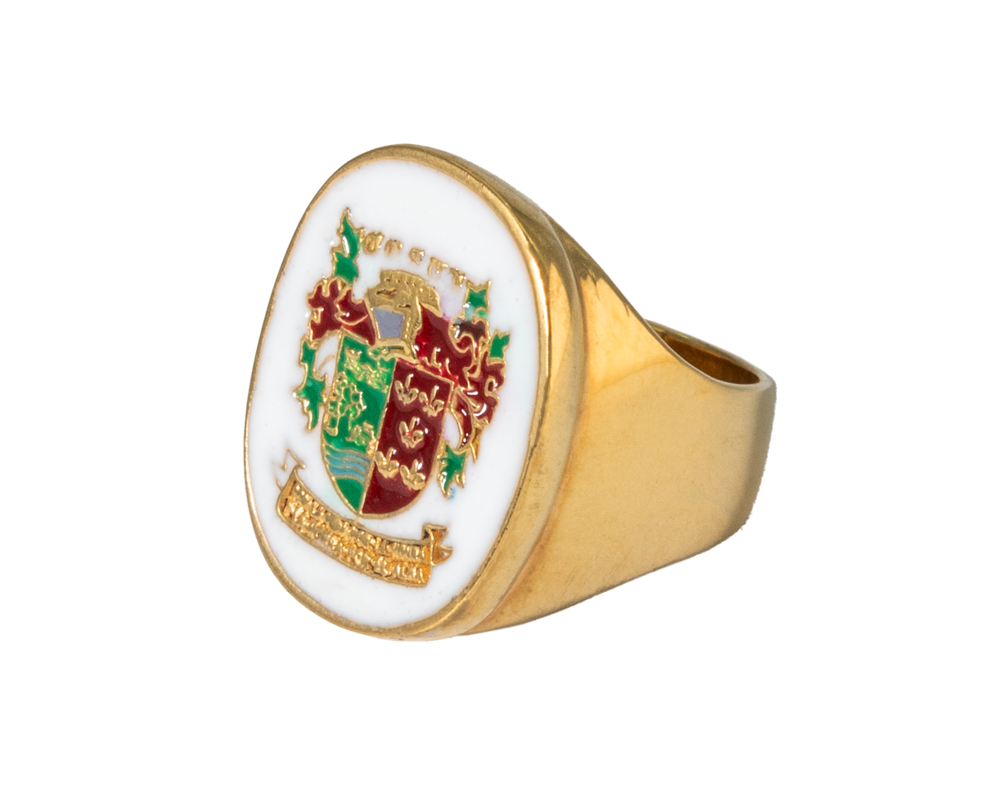 Heráldico familia Costi Esmalte