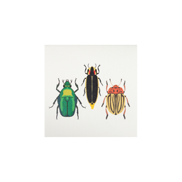 Tarjeta Escarabajo Chicharra Mini
