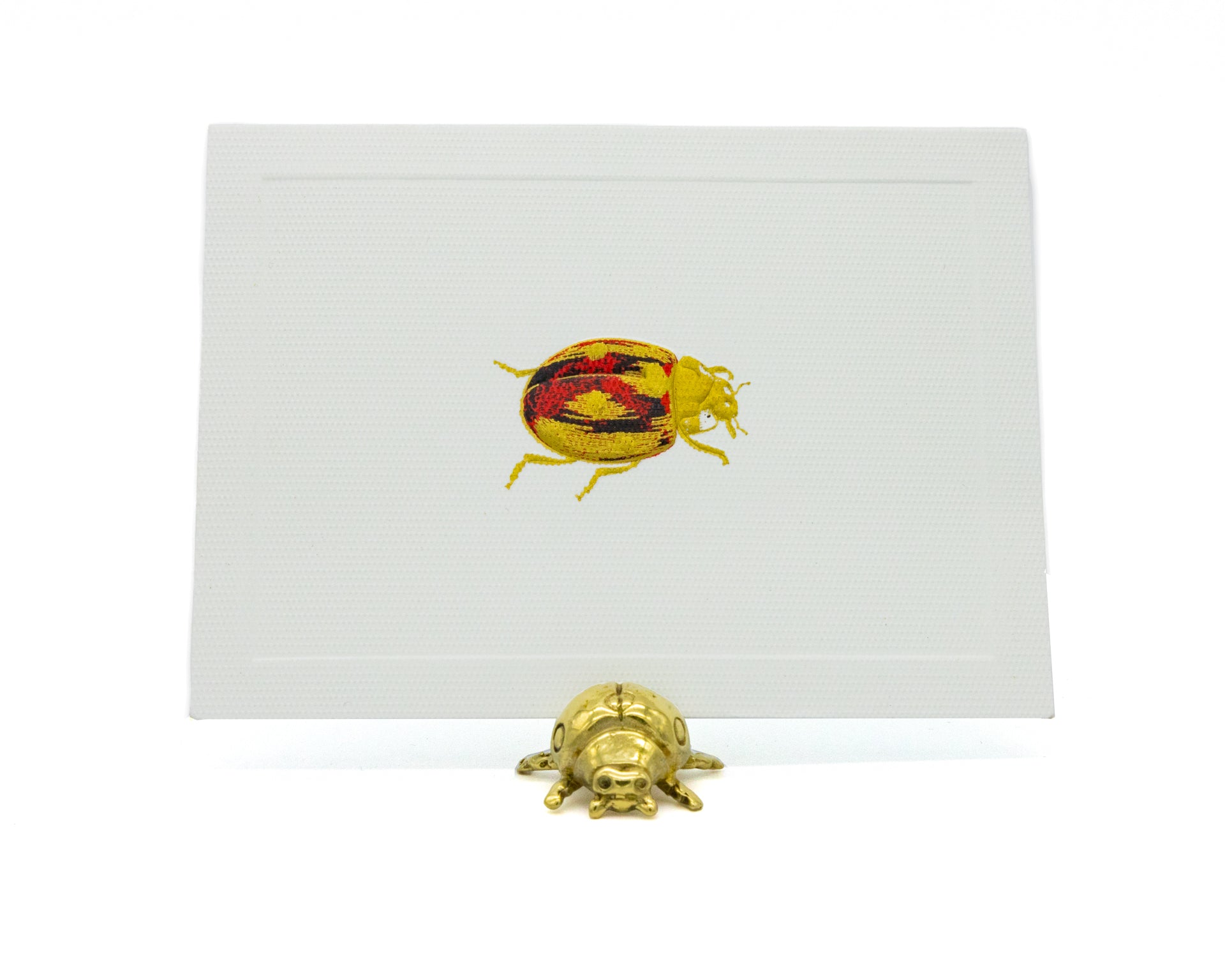 Base Catarina para tarjetas | M: Bases Para Place Card | Scribanus