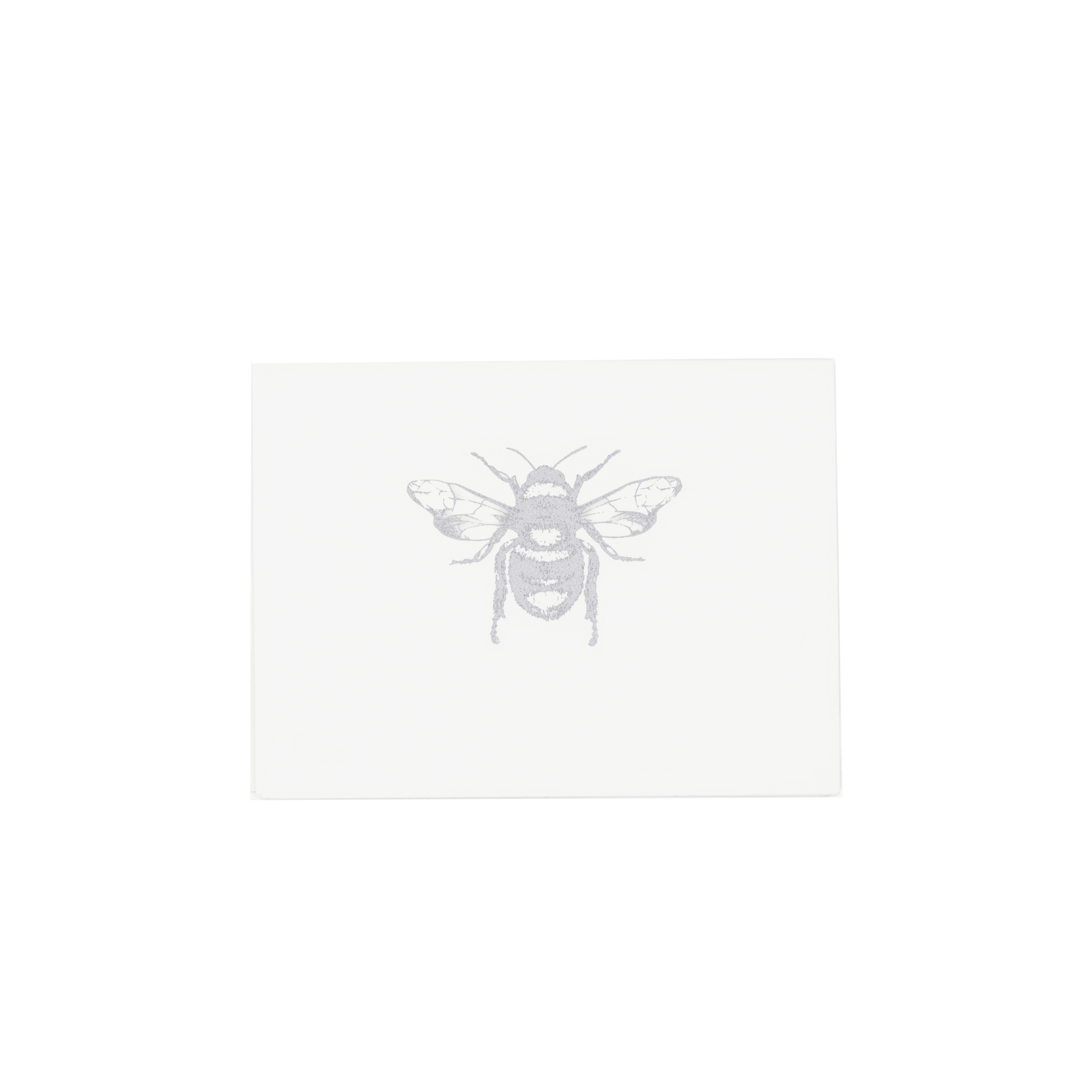 Bolo Abeja plata estuche acrílico | C: Bolos | Scribanus