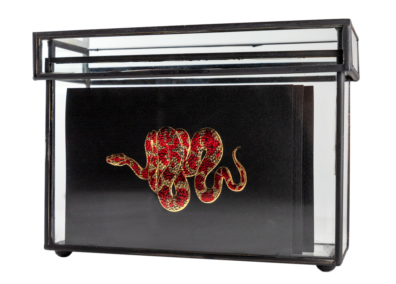 Caja Vidrio Serpiente | CT: Cajas Vidrio | Scribanus