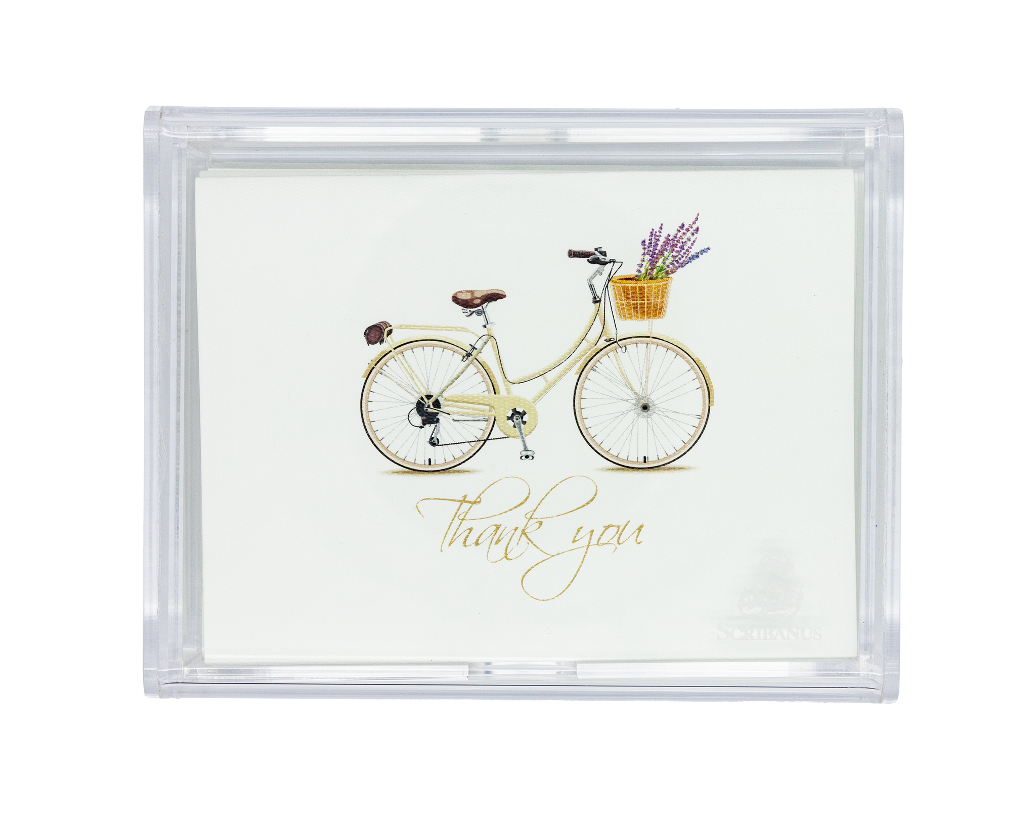 Caja Acrílico Bicicleta Print "Thank you"