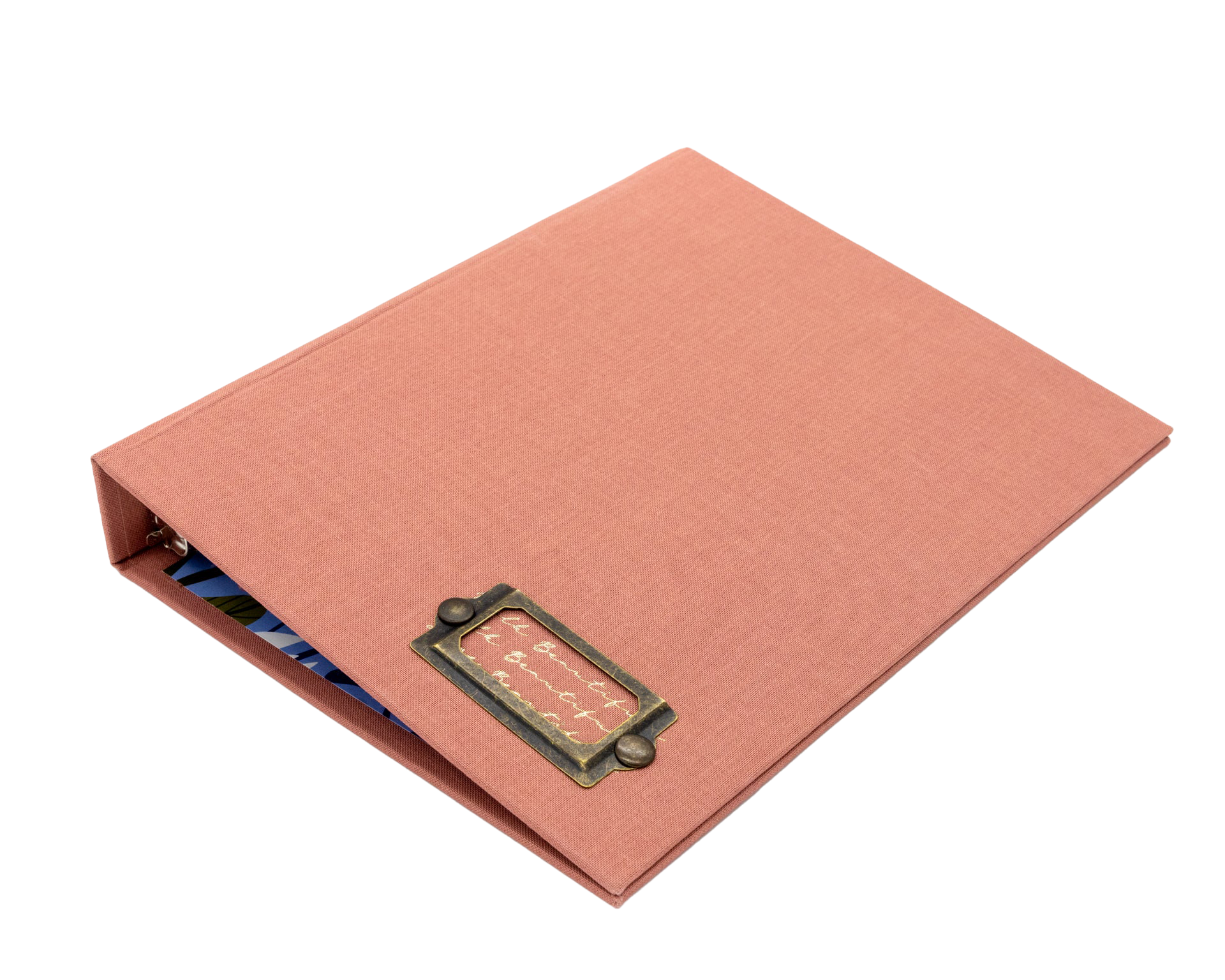 Carpeta  Pensamientos Salmón | AP: Carpetas | Scribanus