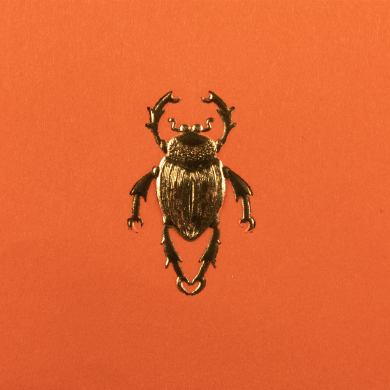 Tarjeta Escarabajo Mini Doble