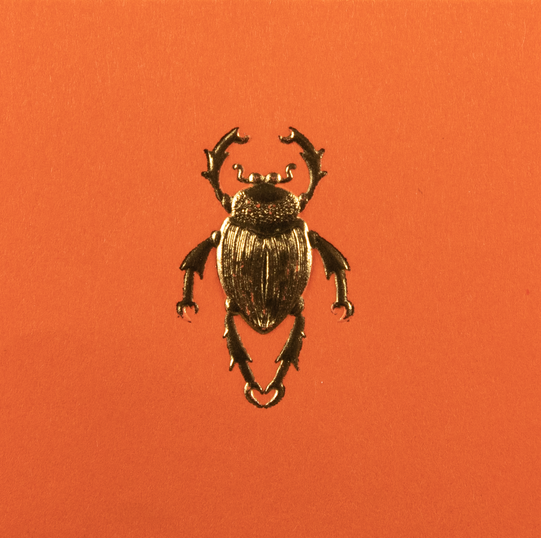Tarjeta Escarabajo Mini Doble - Personalizable