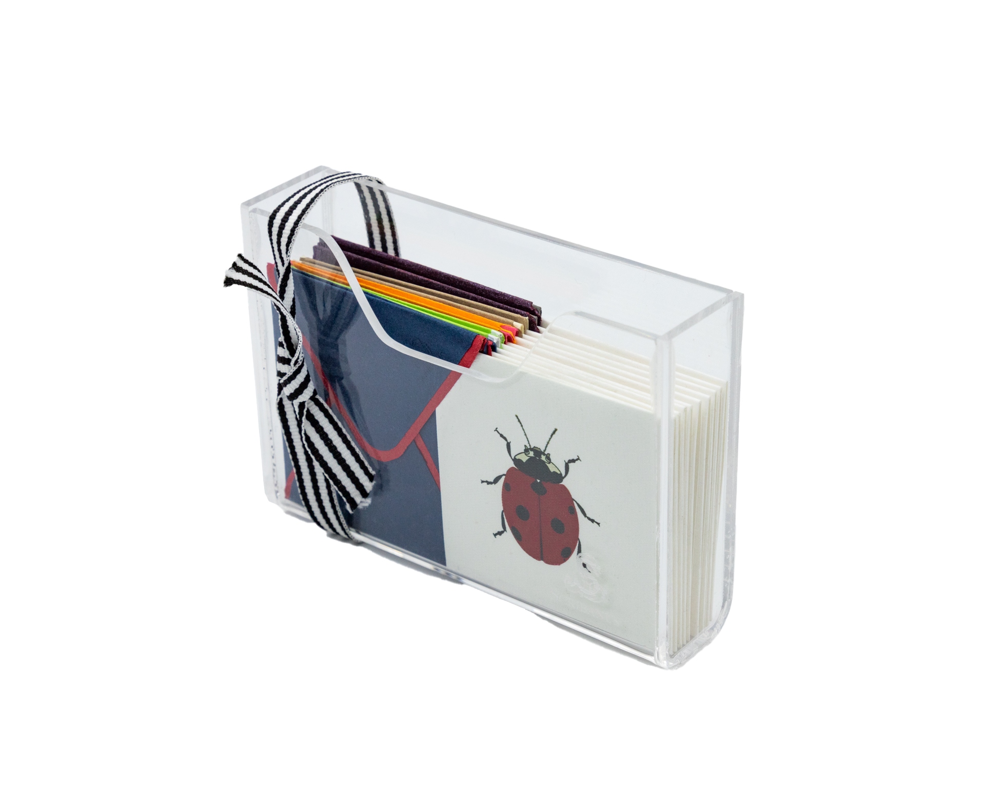 Estuche acrilico Insectos surtida mini | CT: Cajas de Acrílico | Scribanus