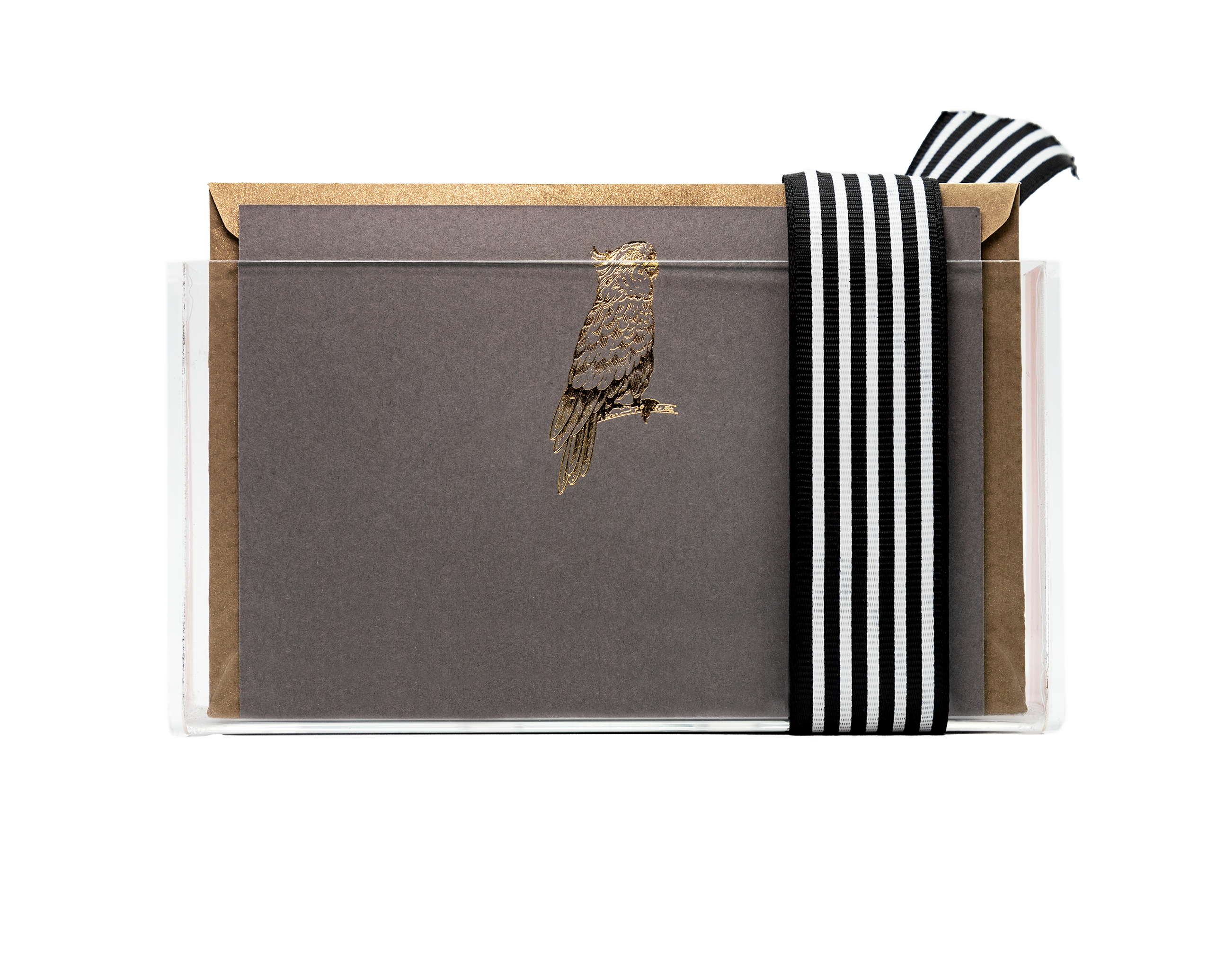 Estuche acrílico Perico | CT: Cajas de Acrílico | Scribanus