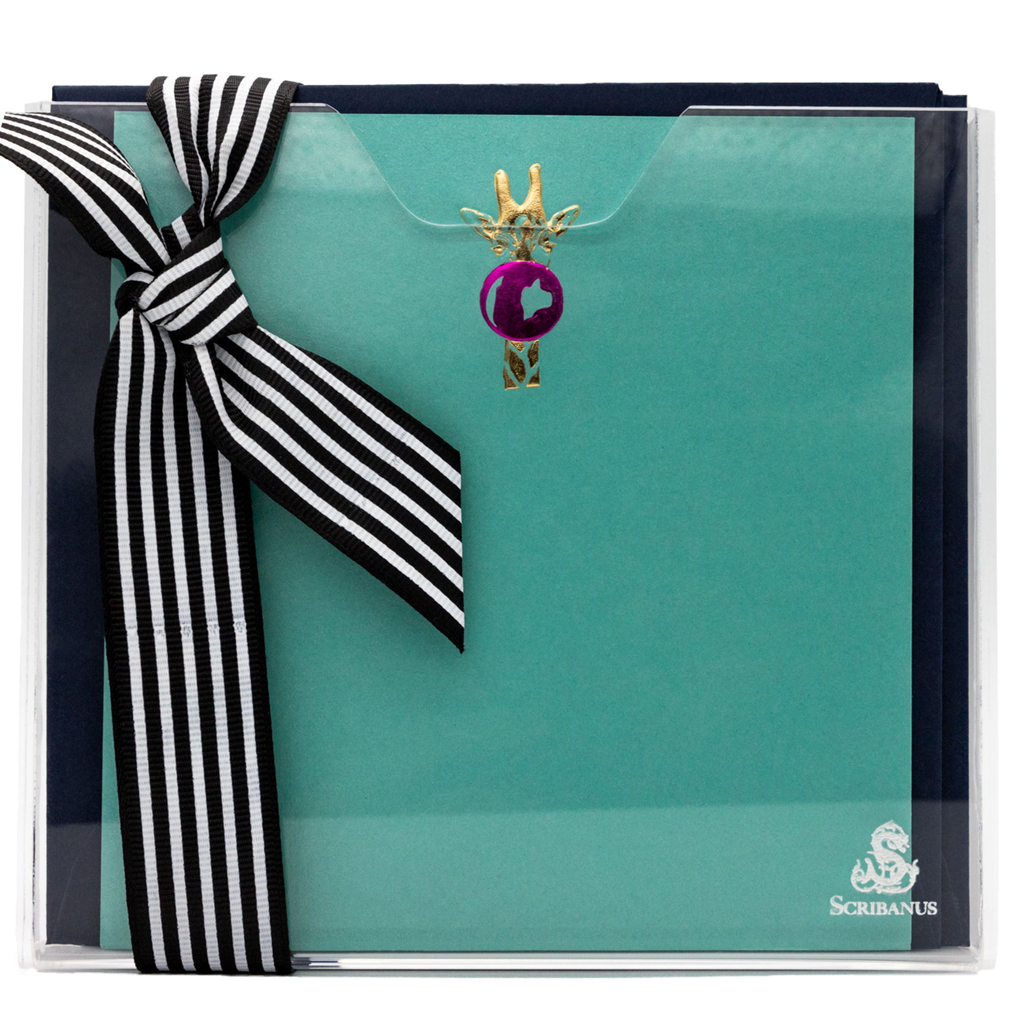 Estuche acrílico grande Jirafa | CT: Cajas de Acrílico | Scribanus