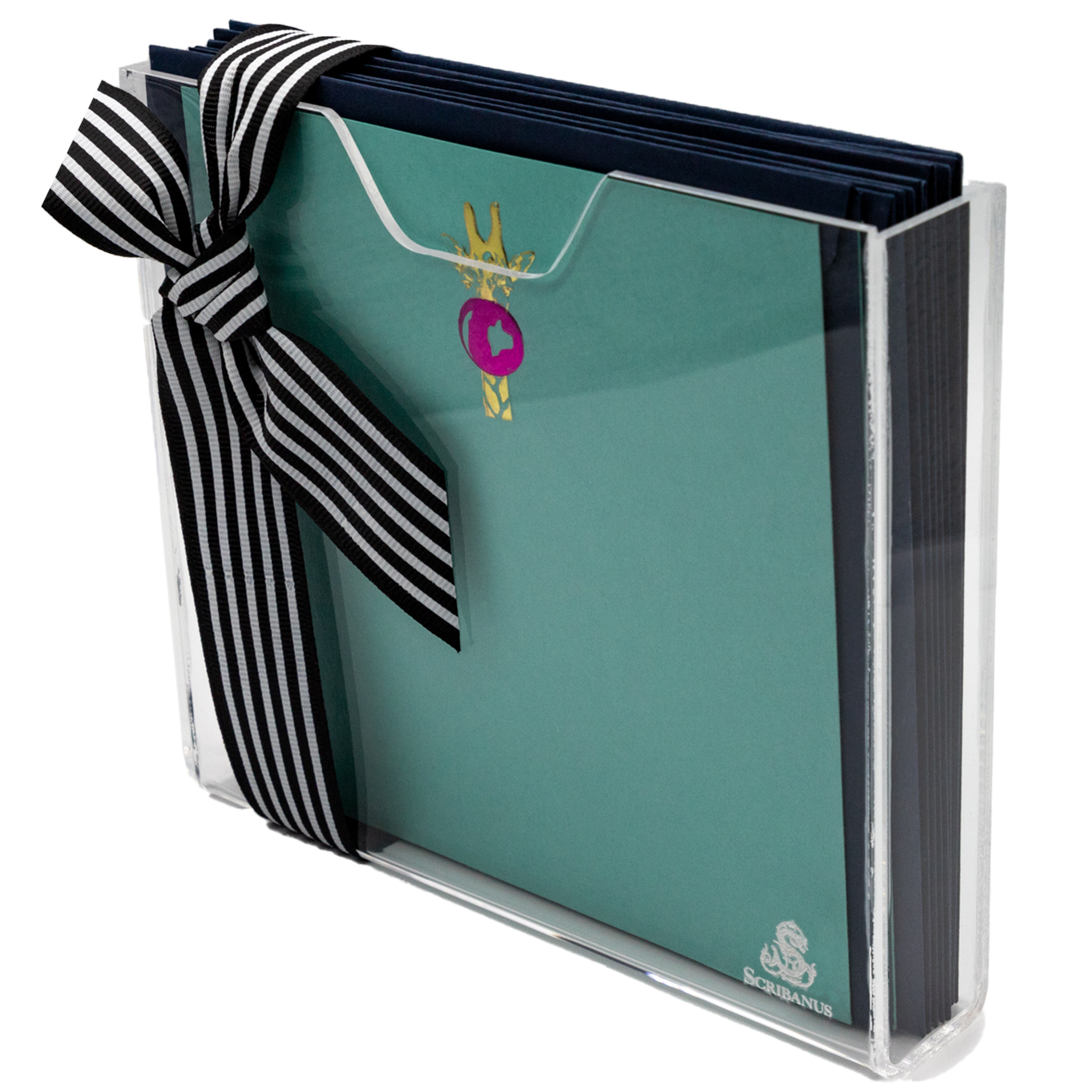Estuche acrílico grande Jirafa | CT: Cajas de Acrílico | Scribanus