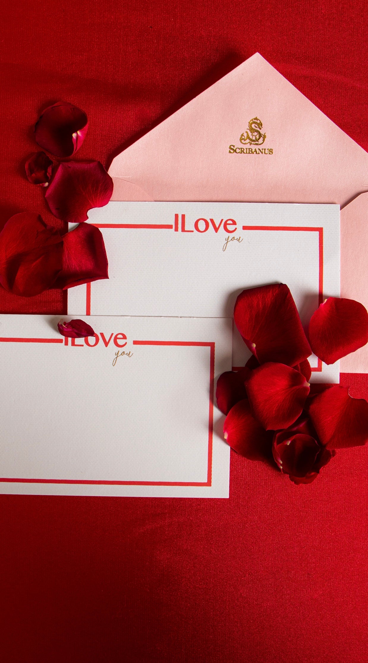 Love Box Colores