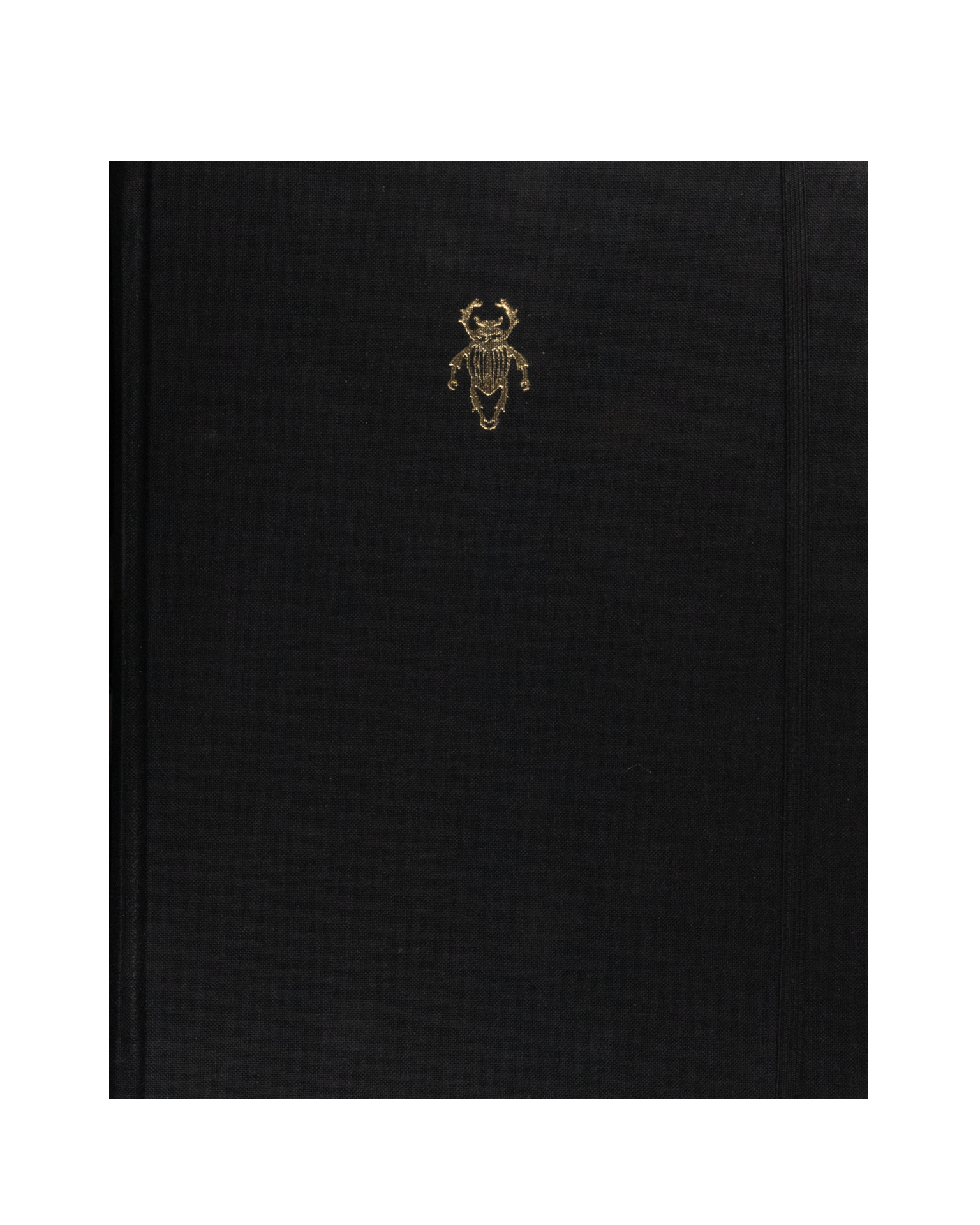 Libreta Insectos / Naturaleza | AP: Libretas | Scribanus