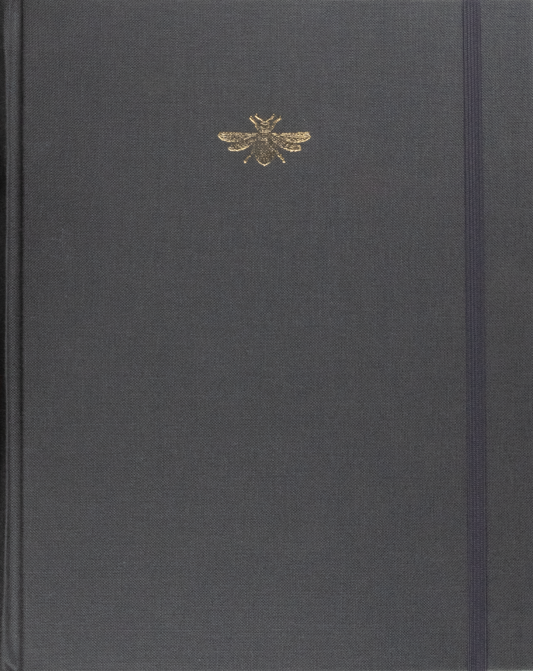 Libreta Insectos / Naturaleza | AP: Libretas | Scribanus