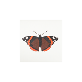 Tarjeta Mariposa Mini