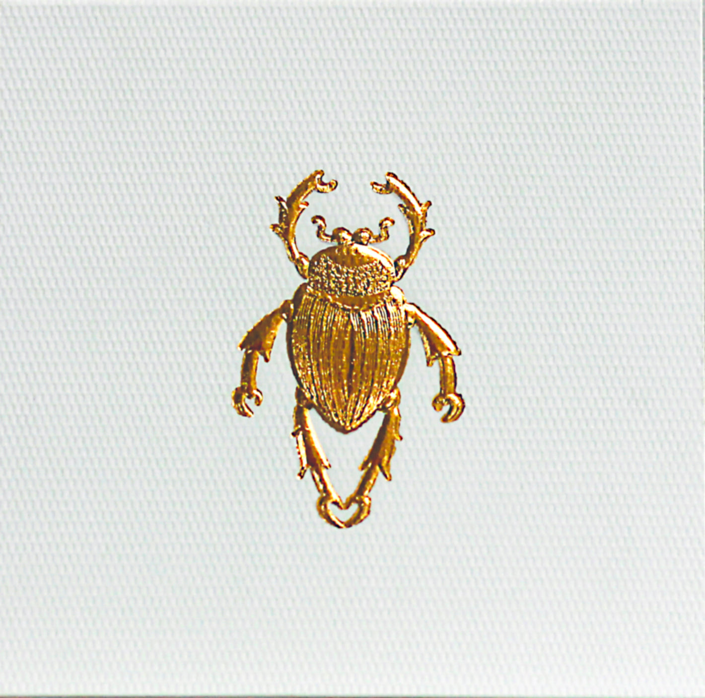 Tarjeta Escarabajo Mini Doble - Personalizable