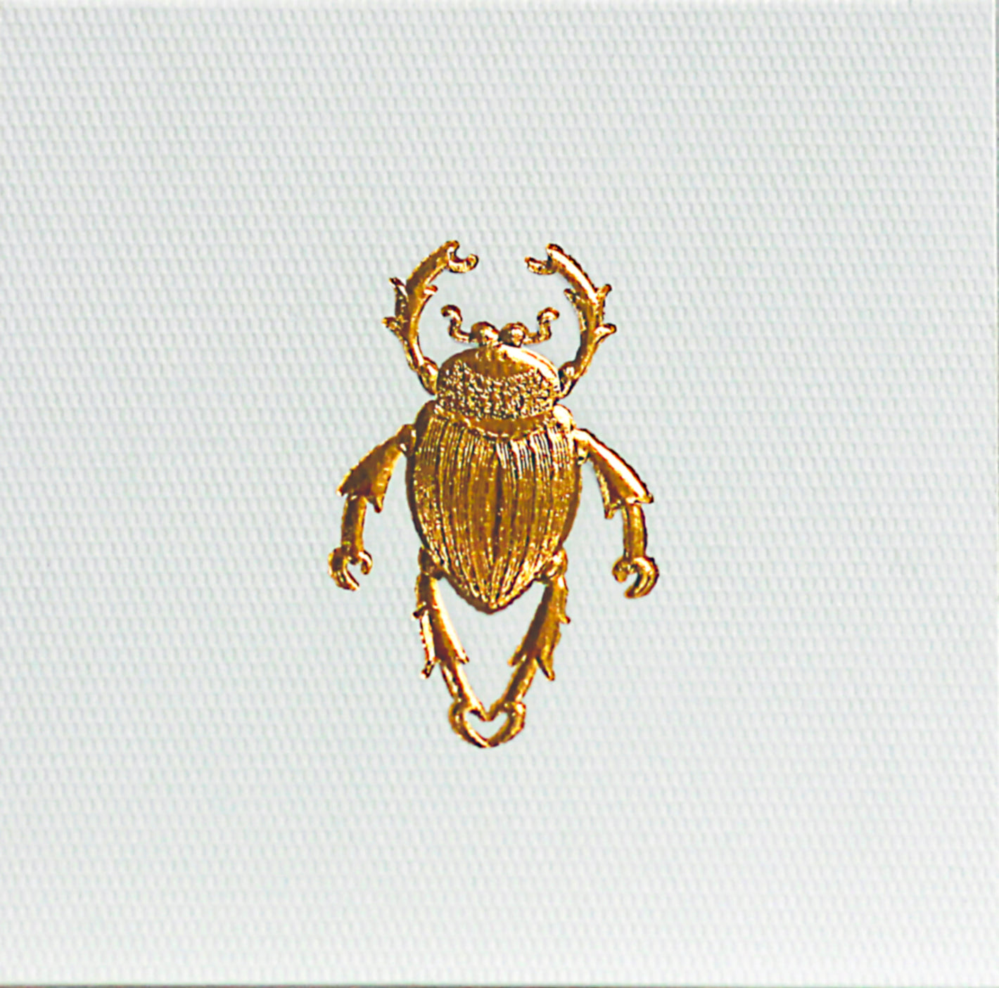 Beetle Card Case