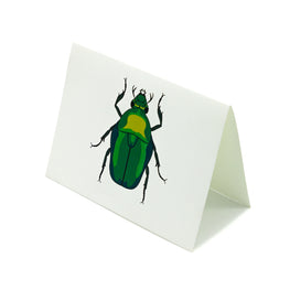 Tarjeta Escarabajo Mediana