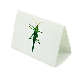 Tarjeta Grillo Mediana