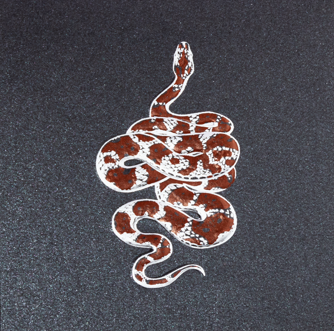 Charola Baño Plata con Tarjetas y Sobres Serpiente Negra - Personalizable