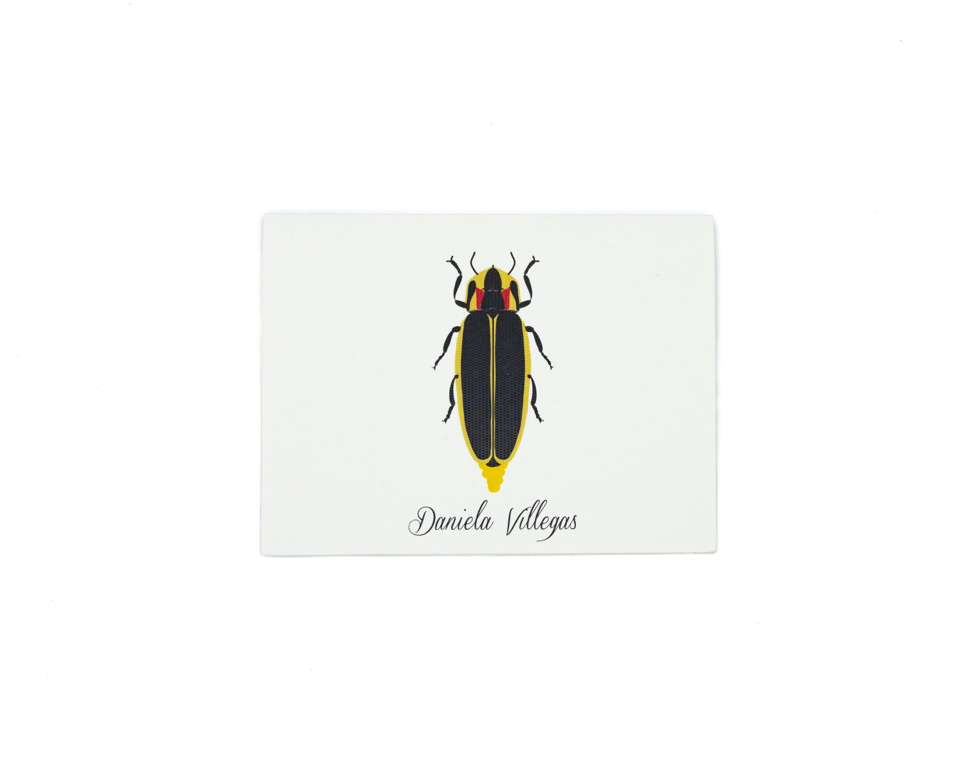 Tarjeta Chicharra Mediana | INSECTOS | Scribanus