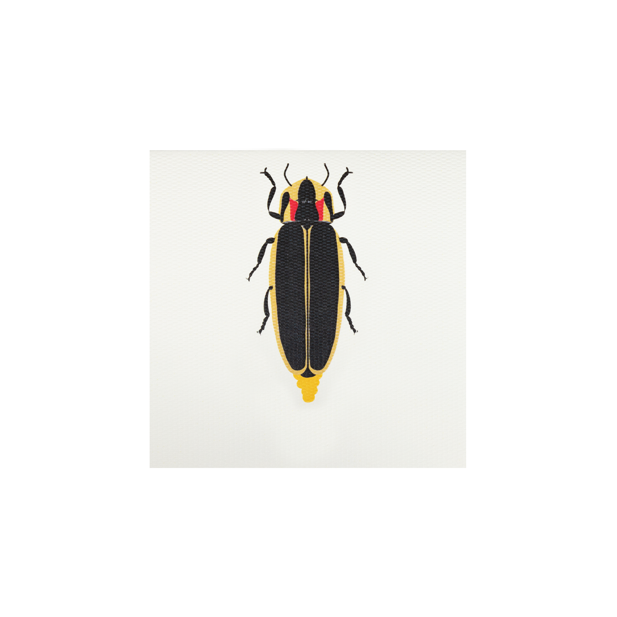 Tarjeta Chicharra Mini | INSECTOS | Scribanus