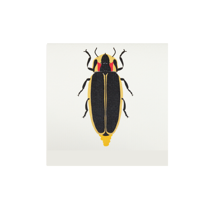 Tarjeta Chicharra Mini | INSECTOS | Scribanus