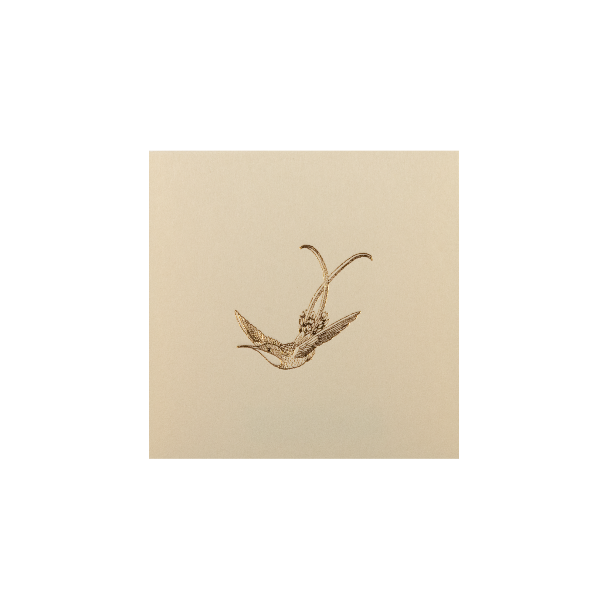 Tarjeta Colibrí Mini Doble | NATURALEZA | Scribanus