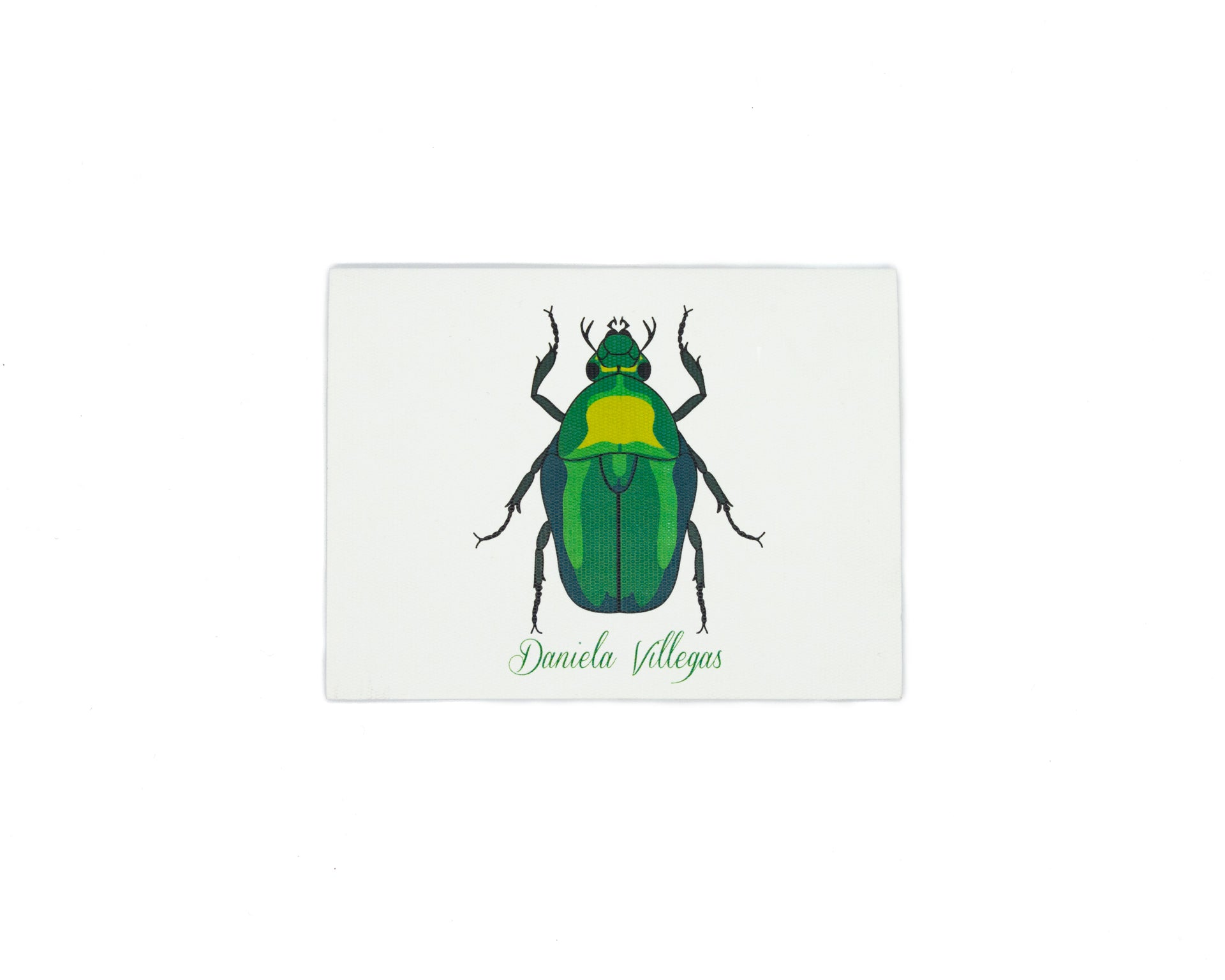 Tarjeta Escarabajo Mediana | INSECTOS | Scribanus