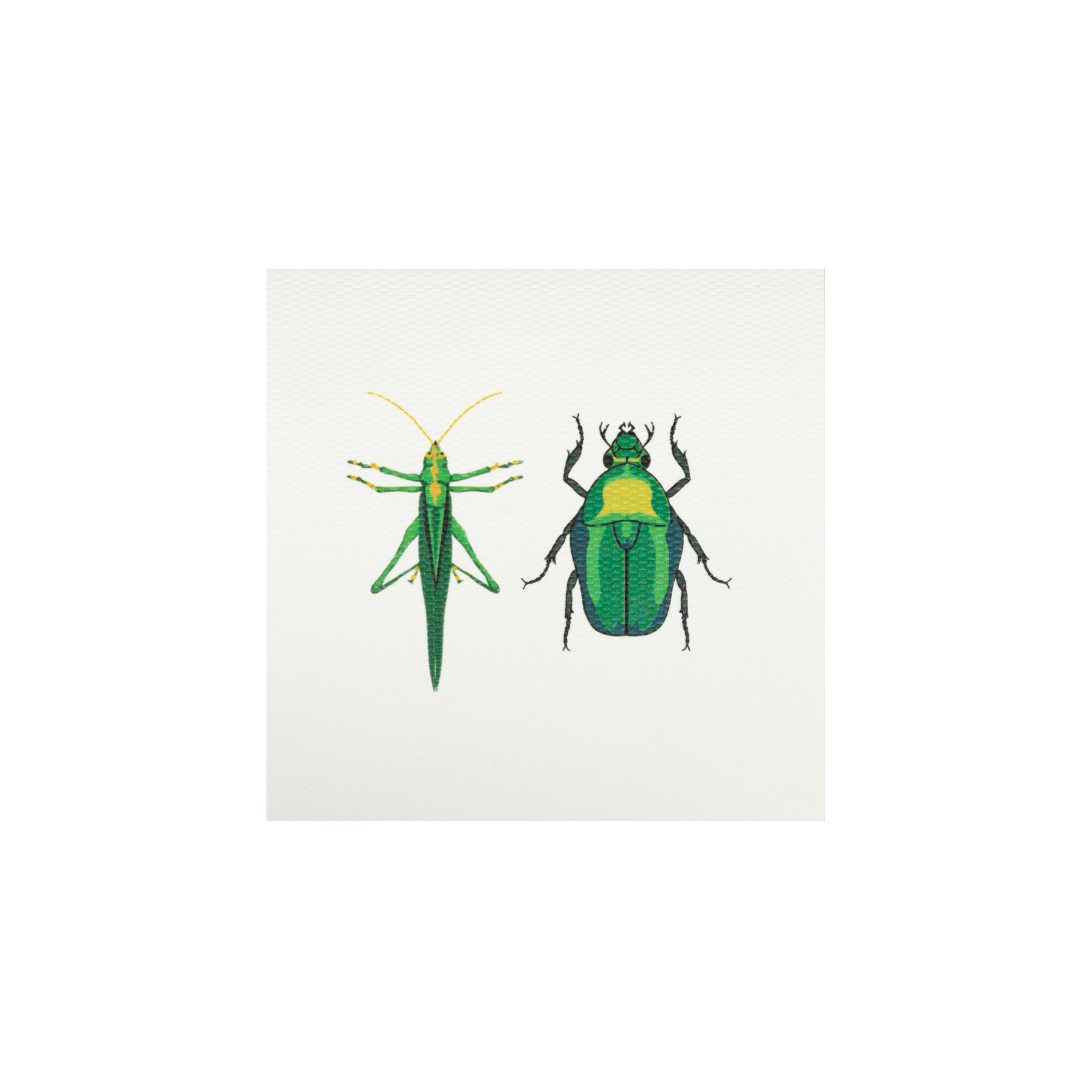 Tarjeta Grillo Escarabajo Mini | INSECTOS | Scribanus