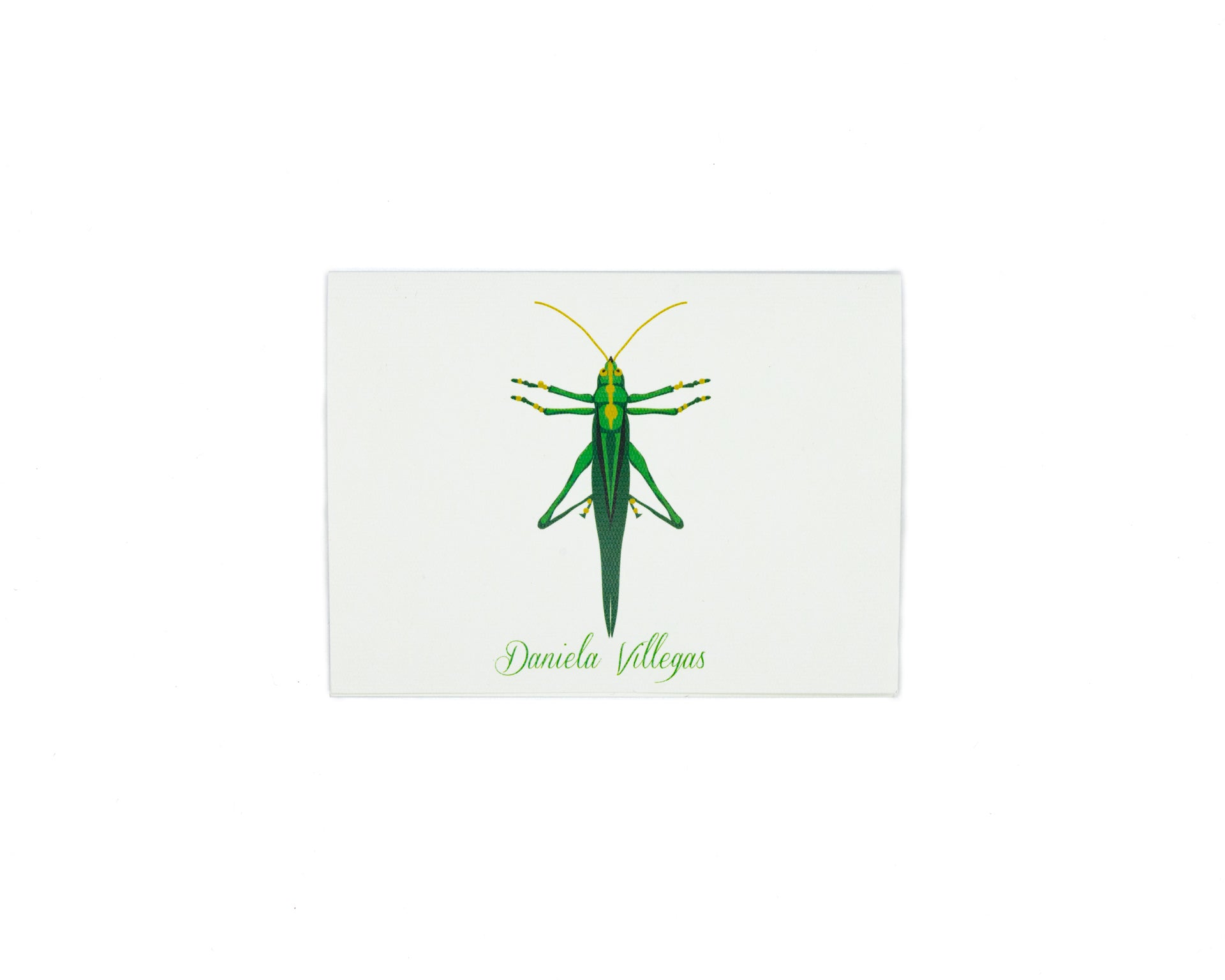 Tarjeta Grillo Mediana | INSECTOS | Scribanus